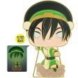 Funko Pop Pin: Avatar El Ultimo Maestro Del Aire - Toph Online Hot Sale